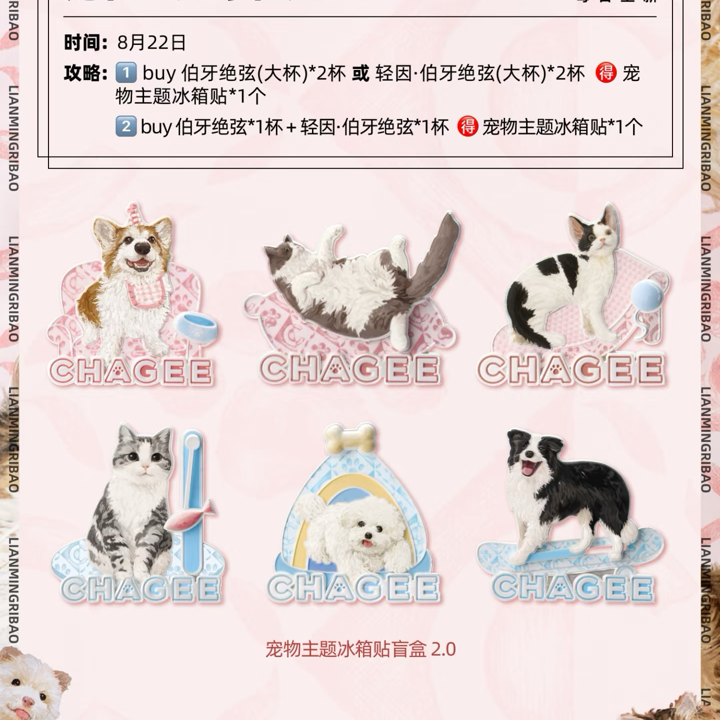 【正品代购】霸王茶姬8.17宠物友好季宠物主题冰箱贴盲盒周边礼物 - 图1