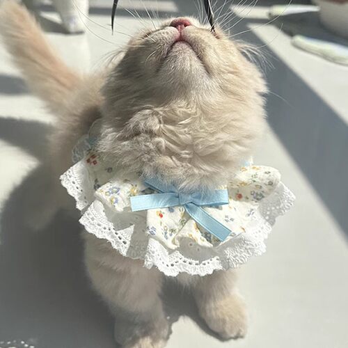 小兔子围脖可爱蕾丝碎花猫咪项圈侏儒兔垂耳兔龙猫宠物脖圈口水巾 - 图0