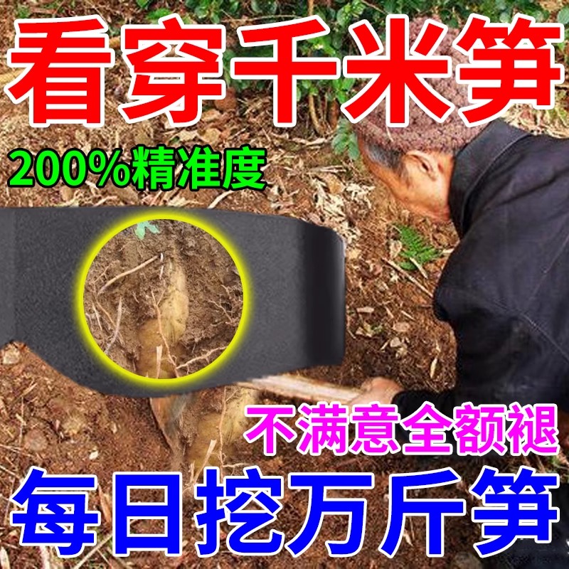 找冬笋专用镜挖冬笋探测器探测仪高精度探笋专用工具冬笋新鲜现挖-图3