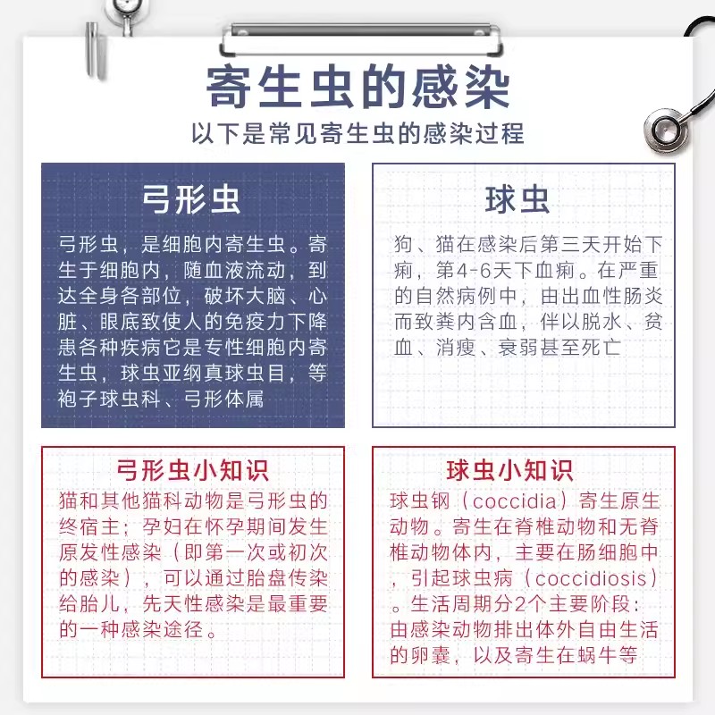 美国巴迪D800弓乐净宠物狗狗弓形虫球虫猫咪体内打虫药驱虫药一盒 - 图1