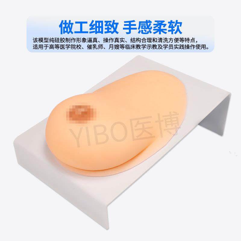 医博BIX-1042成人女性单侧硅胶乳房模型仿真触感催乳手法训练教学,淘宝优惠券,粉丝福利购,淘宝优惠卷