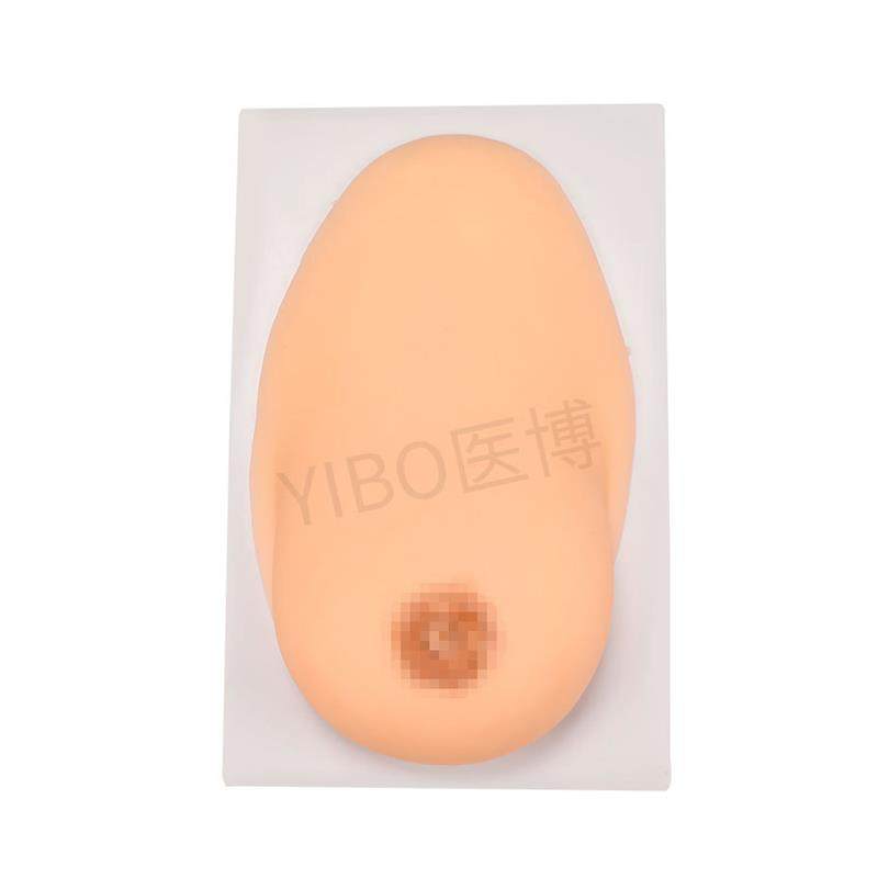 医博BIX-1042成人女性单侧硅胶乳房模型仿真触感催乳手法训练教学,淘宝优惠券,粉丝福利购,淘宝优惠卷