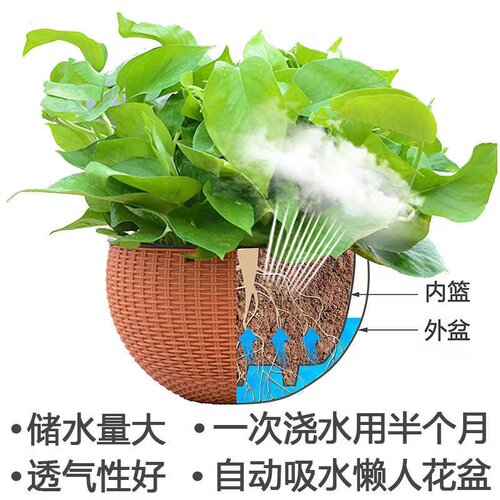 新款简约仿藤编绿萝吊篮盆悬挂式家居绿植盆栽吊兰花盆厂家送吊链 - 图1