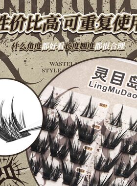【灵目岛】DanaZ联名款假