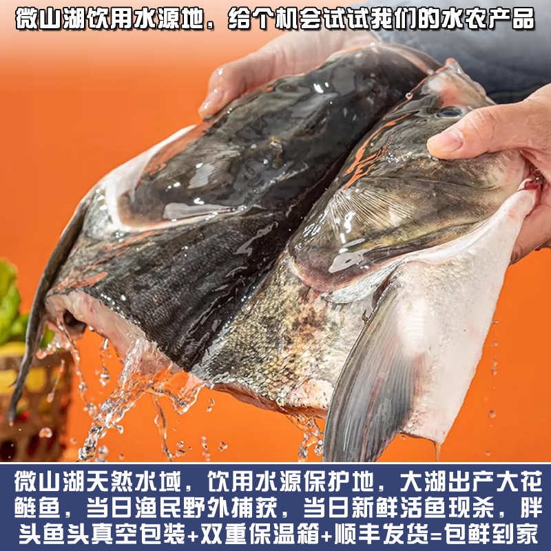 微山湖新鲜现杀胖头鱼头花鲢鱼身剁椒鱼头大头鱼煲汤食材鲢鳙顺丰 - 图3