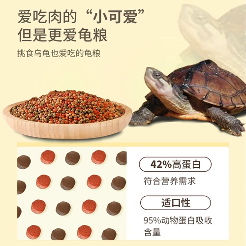 Кратковая маленькая черепаха пища бразильская черепаха с открытой кормовой коркодил черепах общая пищевая добавка кальция с высоким содержанием белковой черепахи закуски