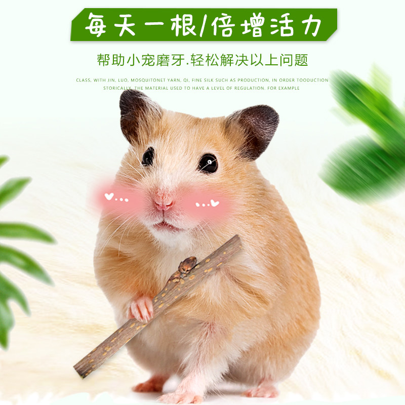 仓鼠磨牙棒磨牙石兔子龙猫金丝熊苹果枝木磨牙枝零食用品套装齐全,淘宝优惠券,粉丝福利购,淘宝优惠卷