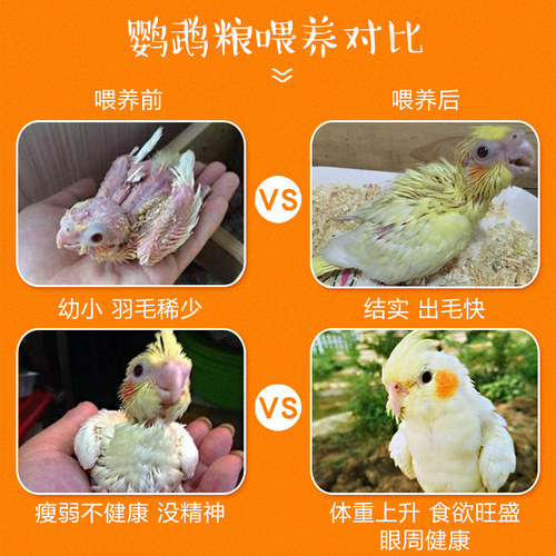 鹦鹉鸟粮饲料鸟食虎皮鸟料玄凤混合粮谷子带壳2500ml - 图2