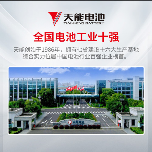 天能电子秤蓄电池专用台秤通用4v4ah/20HR精准电子称6v4.5ah电瓶 - 图2