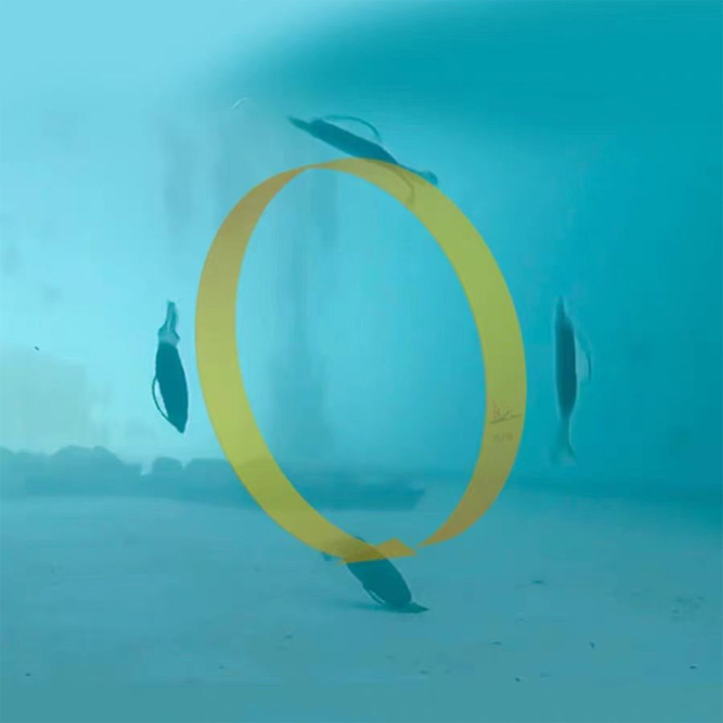 OSP新款DOLIVE SS-GILL拖尾鱼软虫饵倒钓德州铅头钩鲈鱼黑坑假饵,淘宝优惠券,粉丝福利购,淘宝优惠卷