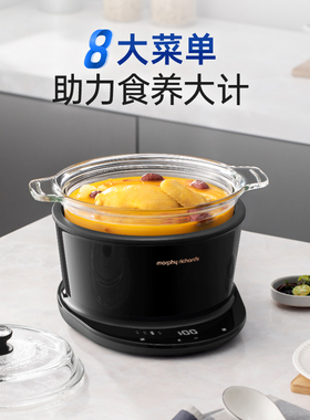 摩飞电炖煲多功能家用养生锅汤锅