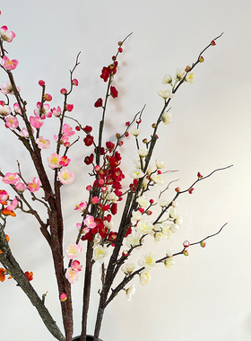 中式仿真傲梅梅花枝腊梅假花干花插花造景红梅树枝装饰花花艺摆件