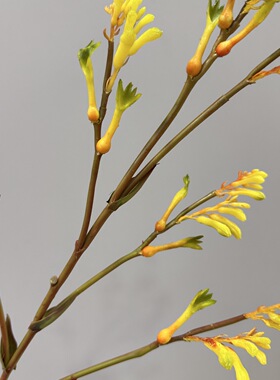 仿真袋鼠花花黄色花束袋鼠爪样板间售楼处装饰花艺术插花造景