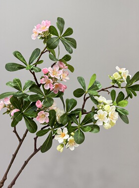 仿真海桐花小单枝海棠花樱花 桃花摄影布景装饰插花造景橱窗摆件
