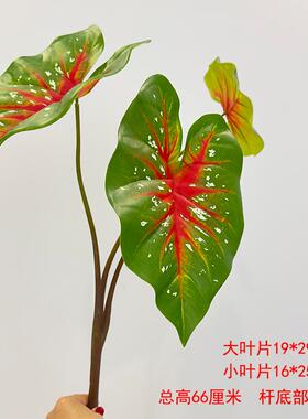 仿真花秋海棠叶五彩芋高端绿植