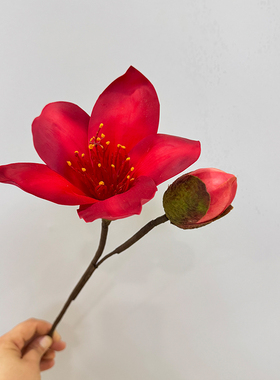 仿真花英雄花过胶手感短枝木棉花玉兰花高端别墅会所酒店装饰花艺