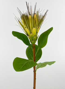 仿真绒花凤梨花帝王花干花假花北欧摆件装饰插花花花朝鲜蓟软装