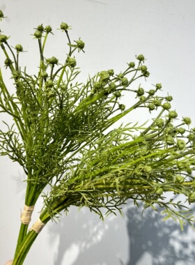 仿真把束草秋菊草文竹草仿真绿植野果子造景摆件道具清新风假花