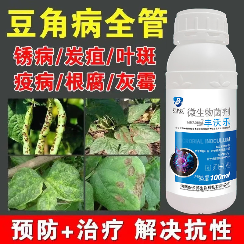 豆角病全治豆角专用杀菌剂豆角叶子发黄卷叶病锈病炭疽病叶斑病药