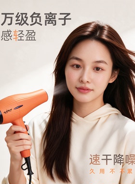戴尔V9无刷负离子速干吹风机