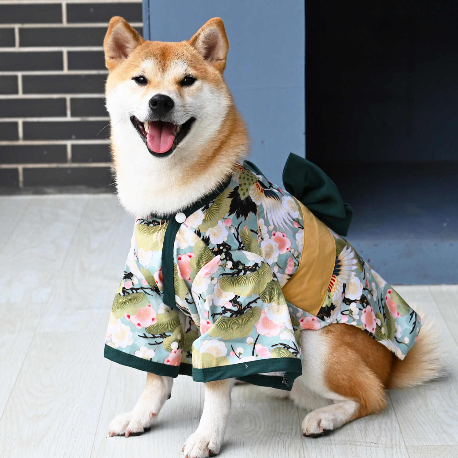 狗狗和服 新人首單立減十元 21年10月 淘寶海外