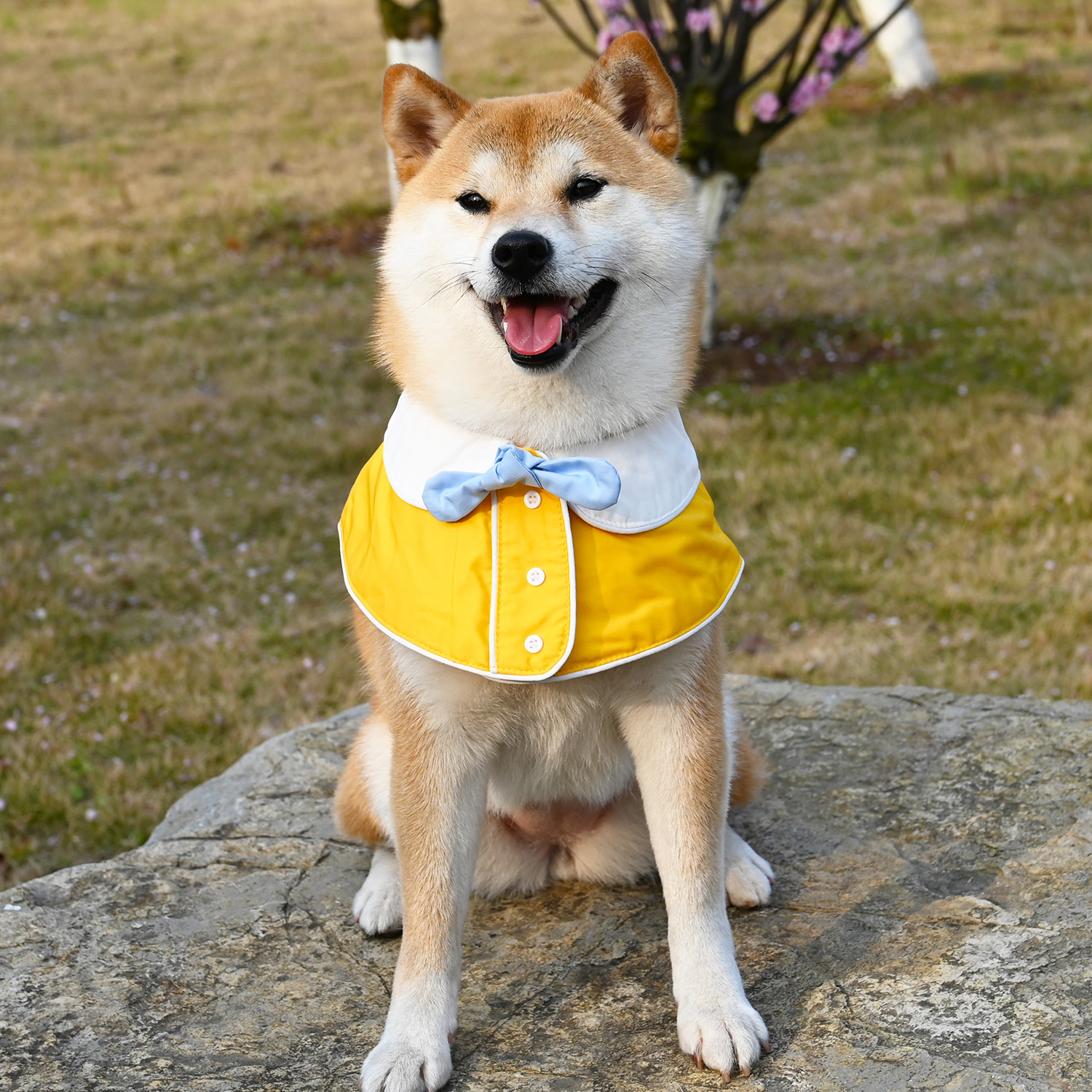 宠物狗狗猫咪法斗柴犬围脖三角巾刻字铭牌围兜围嘴围巾蝴蝶结披风-图1