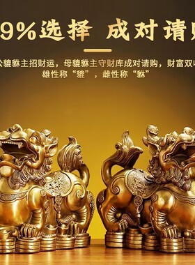 铜貔貅摆件一对公母纯铜