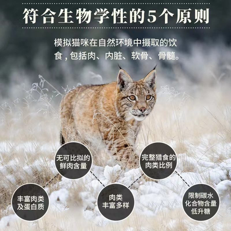 金吉拉专用猫粮全价无谷幼猫成猫增肥发腮去泪痕全阶段通用3斤6斤 - 图1