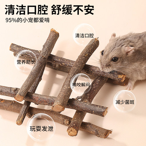 布卡星小仓鼠磨牙用品小饼干苹果枝棒甜竹营养兔子龙猫金丝熊零食 - 图2