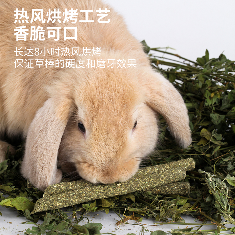 兔子磨牙草棒草饼苹果枝甜竹仓鼠金丝熊豚鼠龙猫荷兰猪零食兔用品-图2