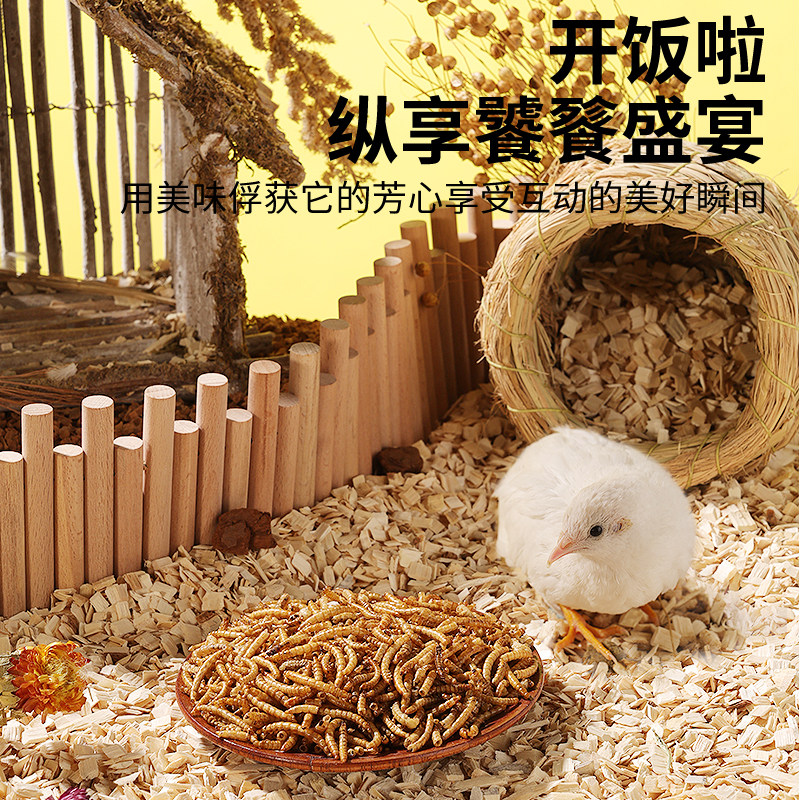 布卡星八哥面包虫干专用鸟粮乌龟刺猬仓鼠零食用品芦丁鸡鸟食饲料,淘宝优惠券,粉丝福利购,淘宝优惠卷