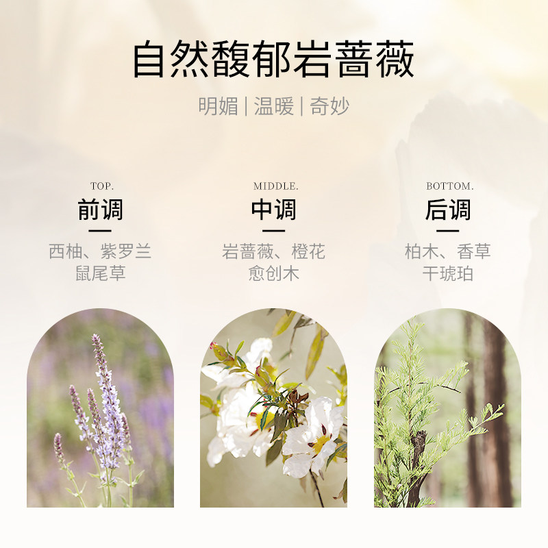 香鉴岩蔷薇香氛沐洗护套装沐浴露 香鉴洗发水