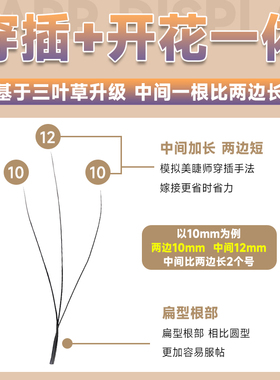 海王三叶草睫毛【中间长两边短】