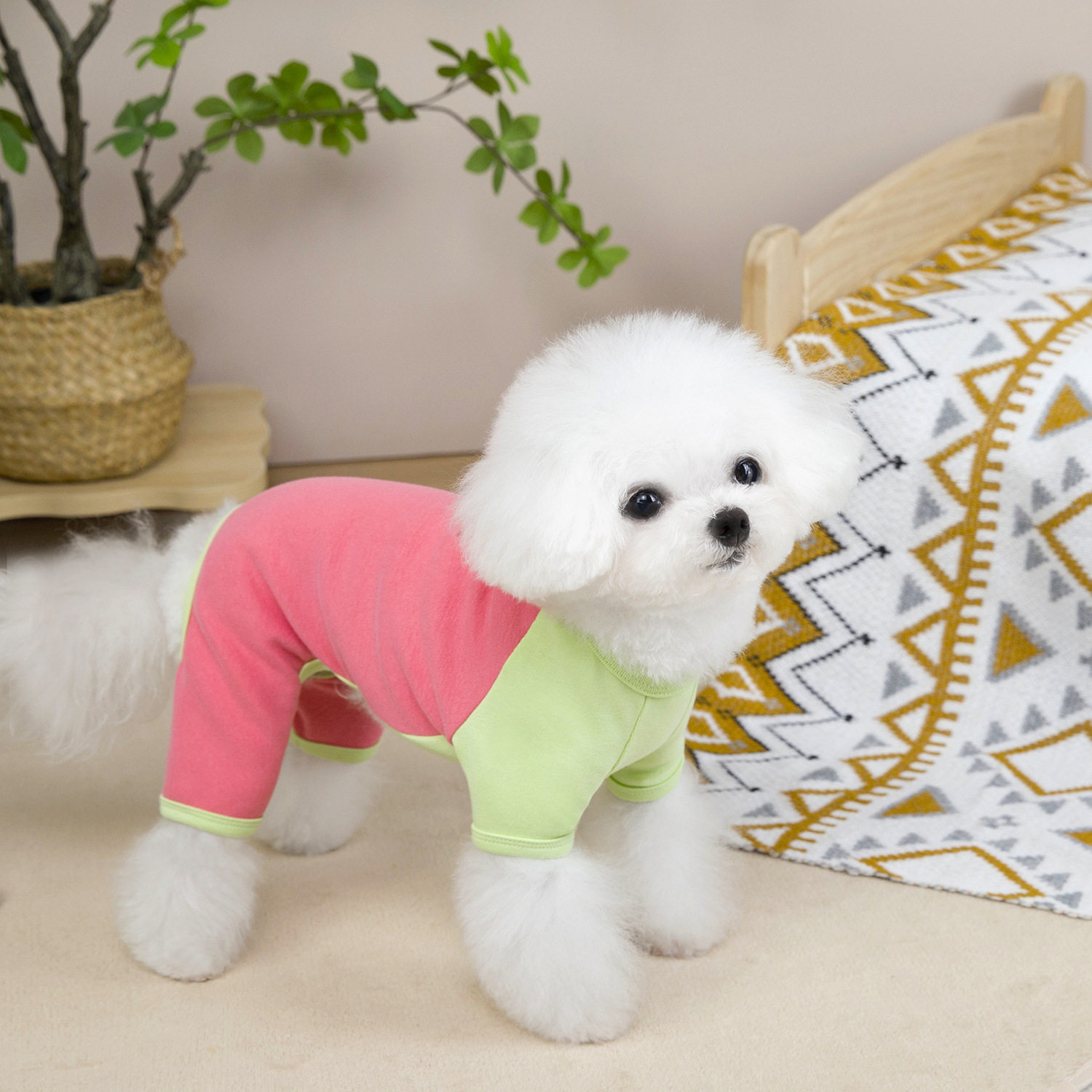 宠物用品宠物服装狗猫衣服小型犬衣服拼色四腿家居服,淘宝优惠券,粉丝福利购,淘宝优惠卷