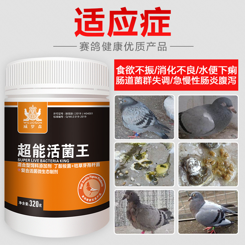 活菌王鸽子用拉稀水绿便非用品药调理肠道专用常见病非鸽子药大全 - 图0