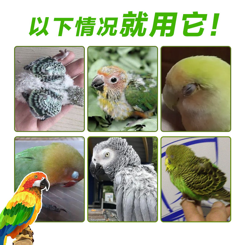 鹦鹉用鱼肝油增肥靓羽玄凤虎皮牡丹鹦鹉掉毛营养保健用品鸟用鱼油,淘宝优惠券,粉丝福利购,淘宝优惠卷