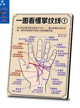 掌纹线图解科普平面相框摆件中医手诊文化桌面装饰养生爱好者收藏