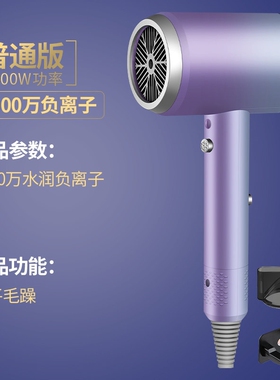 电吹风机家用理发店专用大功率负