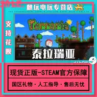 Terraria中文 新人首单立减十元 21年7月 淘宝海外