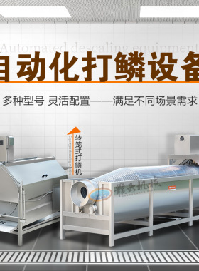 转笼式去鳞机 各种鱼类大量去鱼鳞的机器 加工去鳞的设备