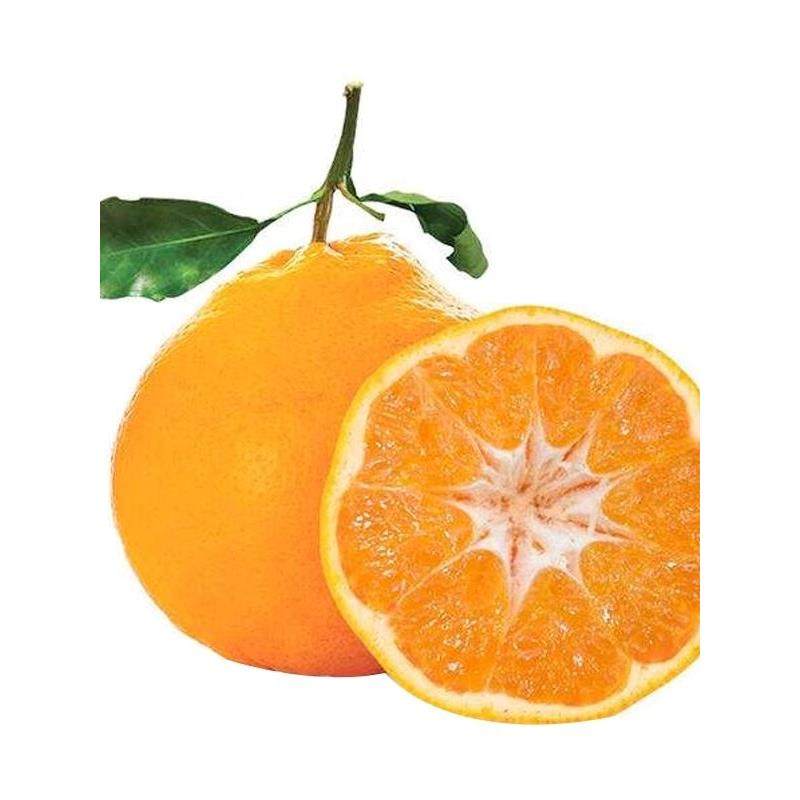 顺丰包邮四川春见耙耙柑纯甜化渣孕妇新鲜水果现摘农产品净果10斤,淘宝优惠券,粉丝福利购,淘宝优惠卷