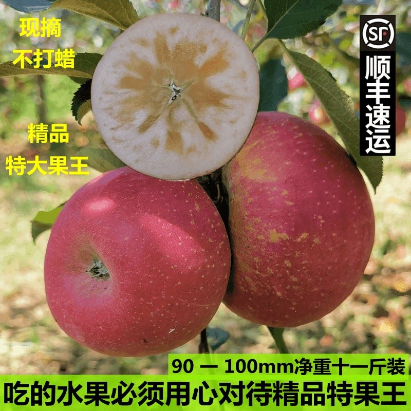 12斤现摘树尖阳光花纹特大果云南昭通丑苹果冰糖心新鲜孕妇水果,淘宝优惠券,粉丝福利购,淘宝优惠卷