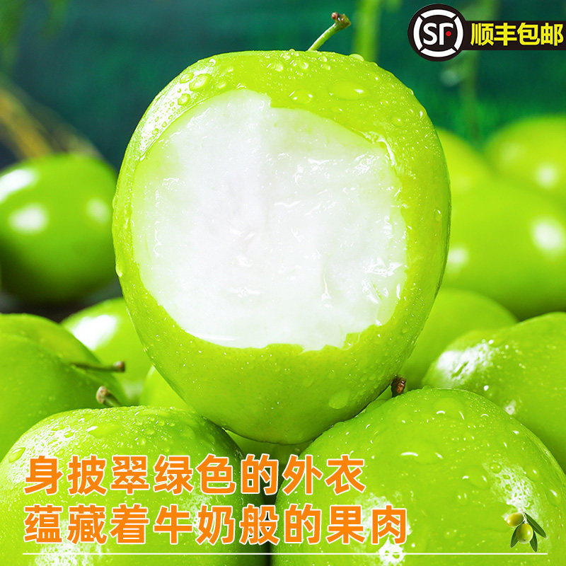 正宗牛奶大青枣奶香青枣孕妇水果整箱新鲜冬枣大果青枣脆甜苹果枣,淘宝优惠券,粉丝福利购,淘宝优惠卷