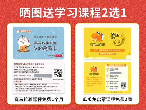 Скидка на консультации+подарок+SF Бесплатная доставка] Netease Youdao Dao Dao Dao 3 Профессиональное издание перевод английский