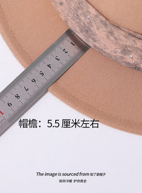中国风水墨画织带英伦复古毛呢礼帽女秋冬时尚百搭小檐黑色爵士帽