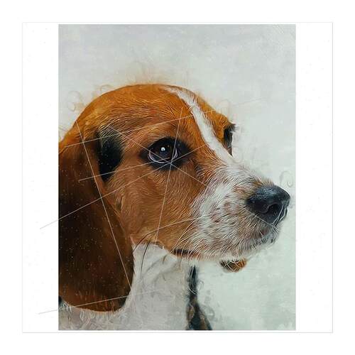 new 5d diamond painting full diamond diamond embroidery cute - 图3