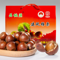 Ppeach Source Jianou Cone Chestnut Water Source Nine And With Shell Cooked Cone Chestnut Easy To Shell 1000 Gram Gift Box Set Open Bag Ready-to-eat