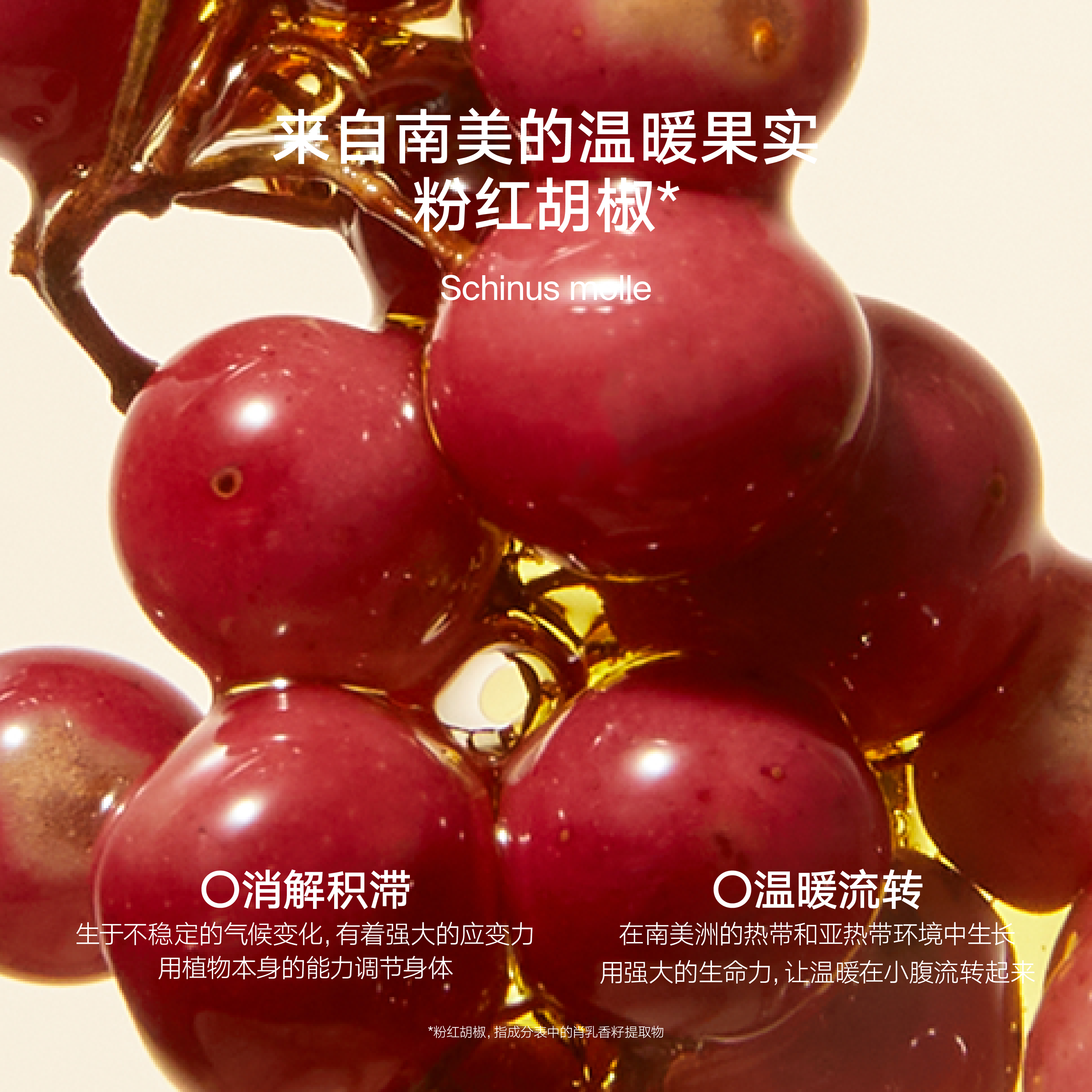 【立即选购】雏菊的天空粉红胡椒腹部按摩油身体油紧致淡化纹路,淘宝优惠券,粉丝福利购,淘宝优惠卷