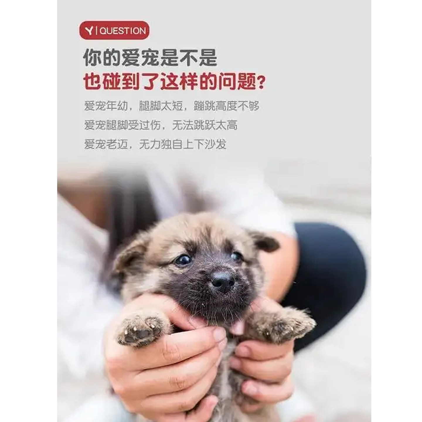 宠物爬梯上床可拆洗老年狗台阶上下楼梯沙发辅助加高小型犬斜坡垫,淘宝优惠券,粉丝福利购,淘宝优惠卷