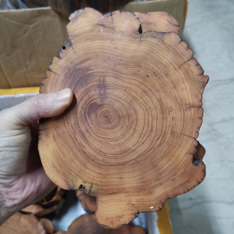 太行崖柏百年老料实木杯垫壶垫花架摆件底座茶室木质奇石文玩托盘 - 图3